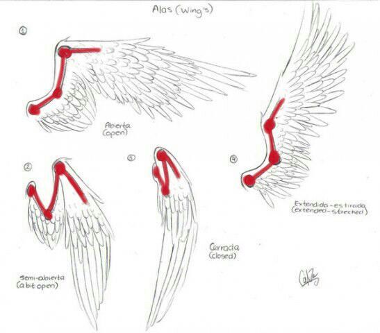 como desenhar asas de anjo empire of animes amino
