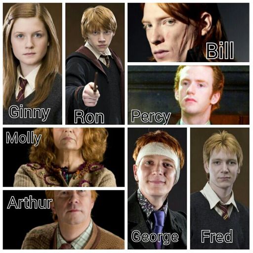 The Weasley Family | Harry Potter Amino