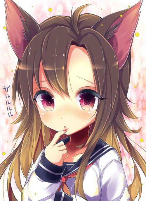 Los Nekos Wiki •anime• Amino