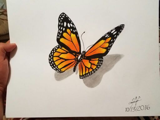 Mariposa (butterfly) | •Arte Amino• Amino