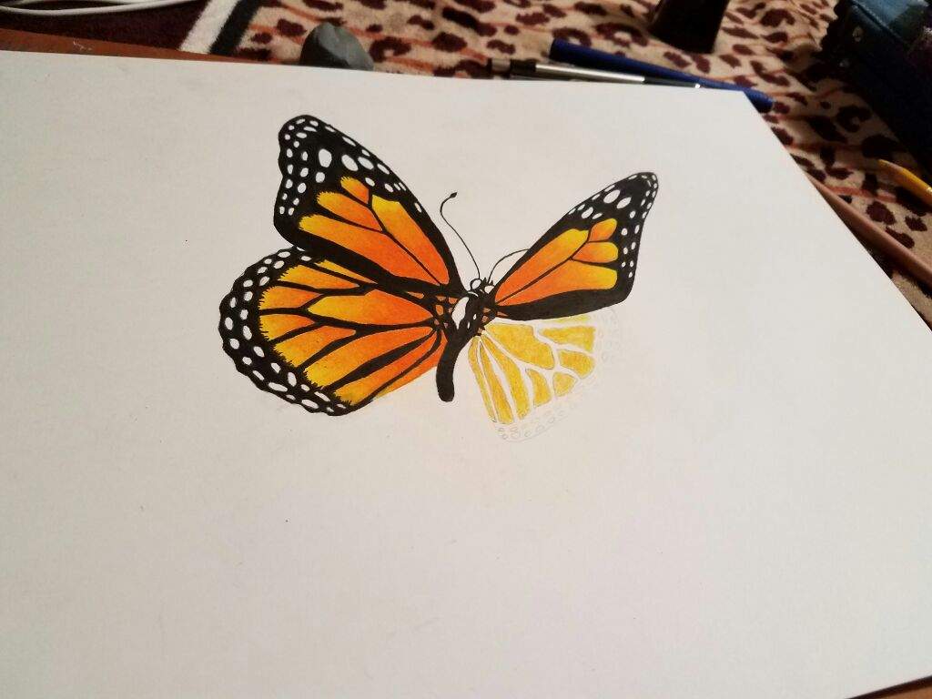 Mariposa (butterfly) | •Arte Amino• Amino