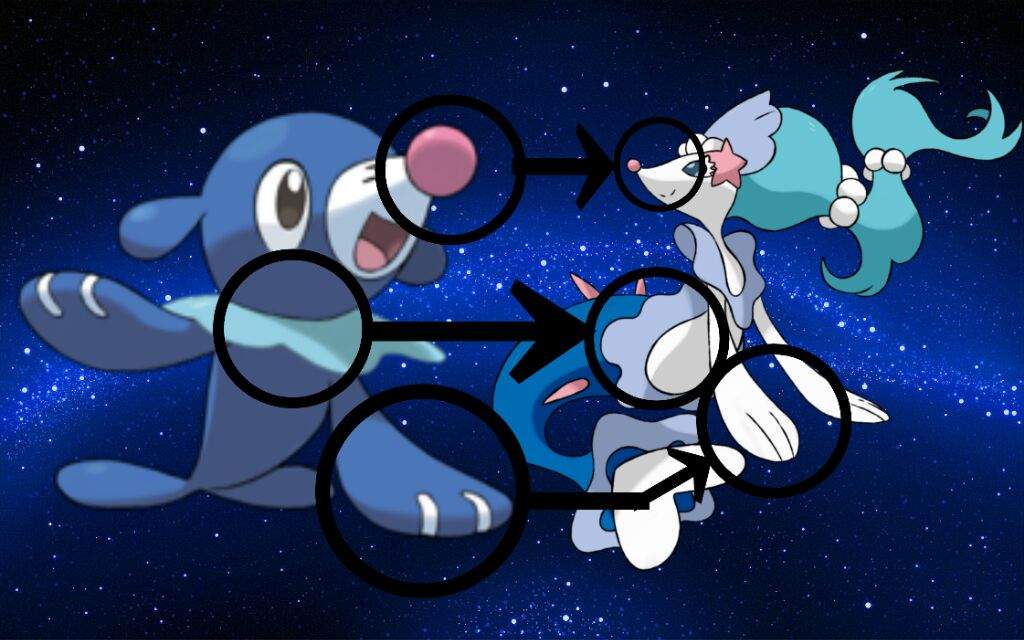 Popplio Evolution Line Similarities | Pokémon Amino