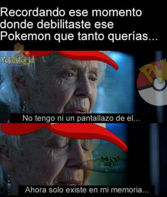 Meme Pokemon 81 Pokemon En Espanol Amino