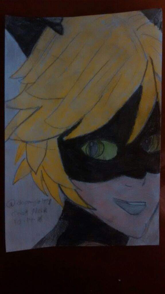 Miraculous Ladybug Fanart Chat Noir 5 By At Doomgirl118