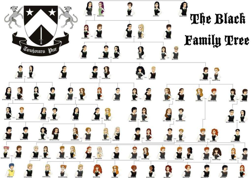 The Black Family | Wiki | Harry Potter Amino