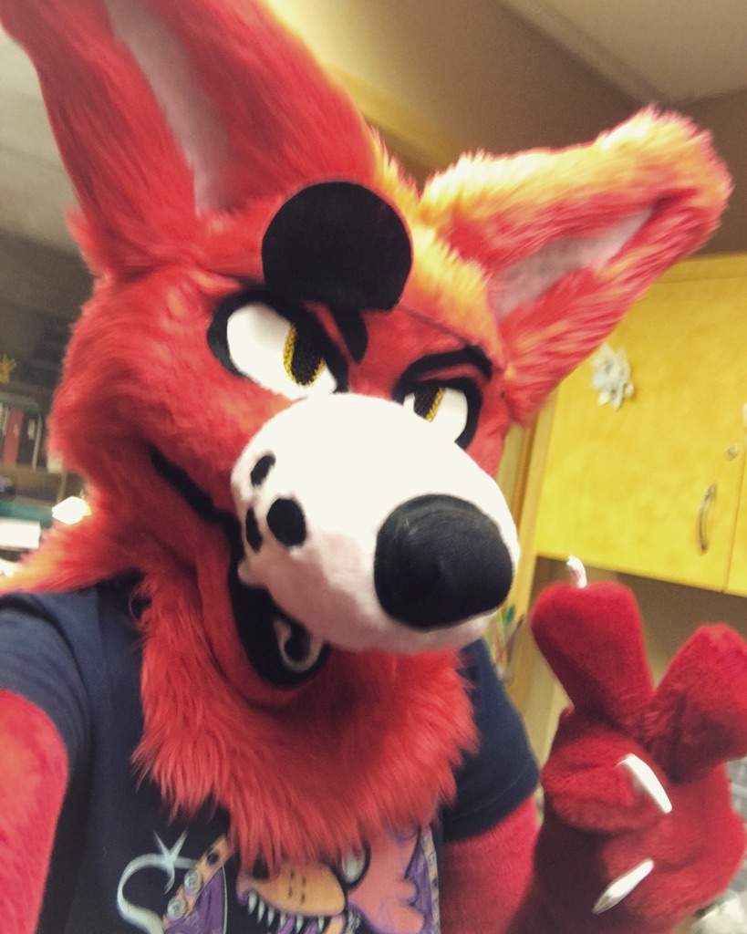 Foxy Fursuit | Furry Amino