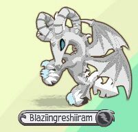animal jam