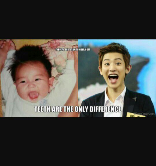 Chanyeol memes | K-Pop Amino