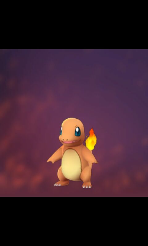 Charmander | Wiki | Pokemon GO Amino