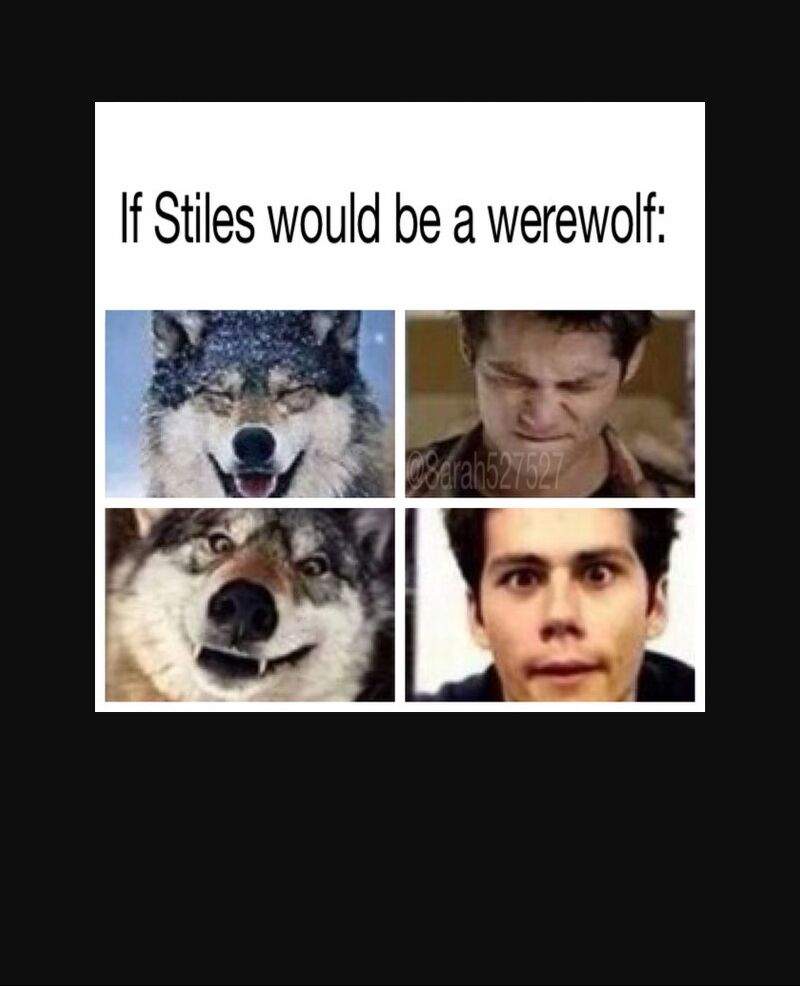 Stiles Memes Teen Wolf Amino