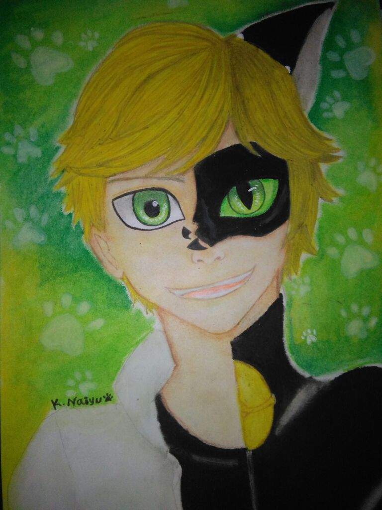 Adrien & Chat Noir | Miraculous Amino