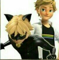 I LOVE YOU EIDREN Y CHAT NOIR | Wiki | Miraculous Amino