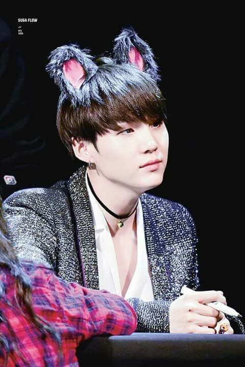 Nekos TAE Y SUGA super tiernos 😍😍😍😍😍 | ARMY's Amino Amino