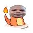 amino-Charmander das antigas-0e7ed50c