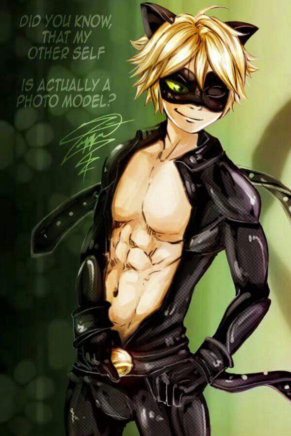 Chat Noir Miraculous Amino