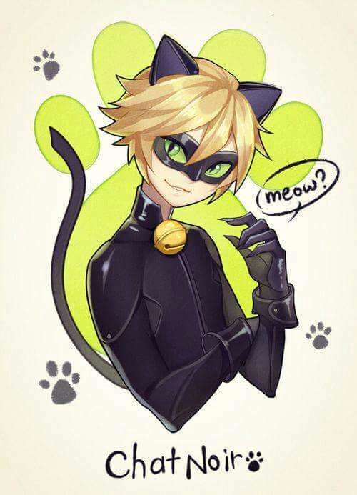 Chat Noir Miraculous Amino