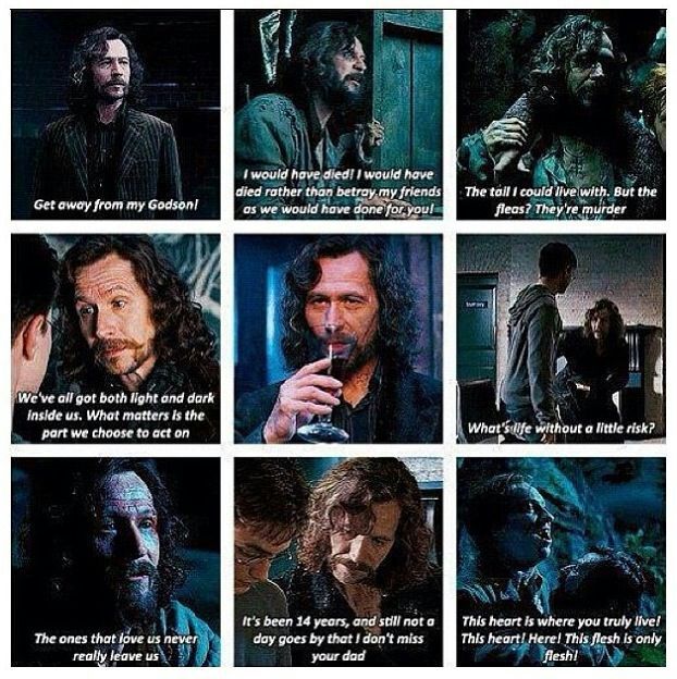 Sirius Black Quotes And Pictures Harry Potter Amino