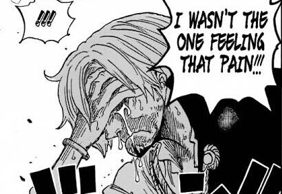 Heartbreaking And Hunger Strike One Piece Ch 844 One Piece Amino