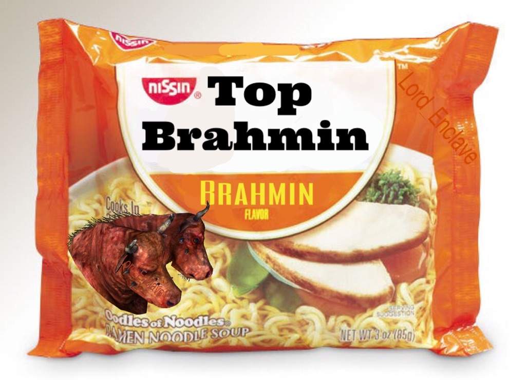 Brahmin Noodles Fallout Amino