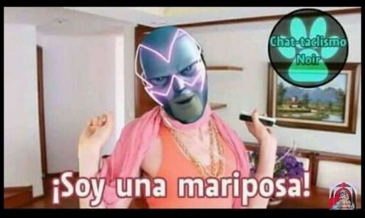 Soy una mariposa