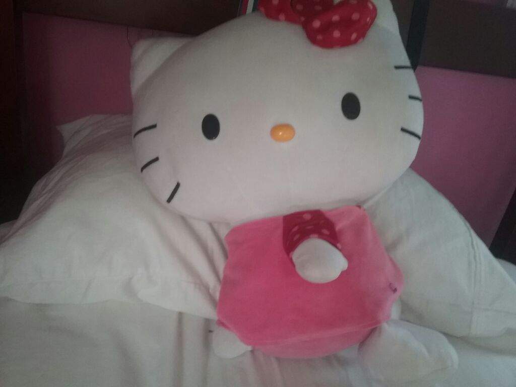 Giant Hello Kitty Sanrio Amino