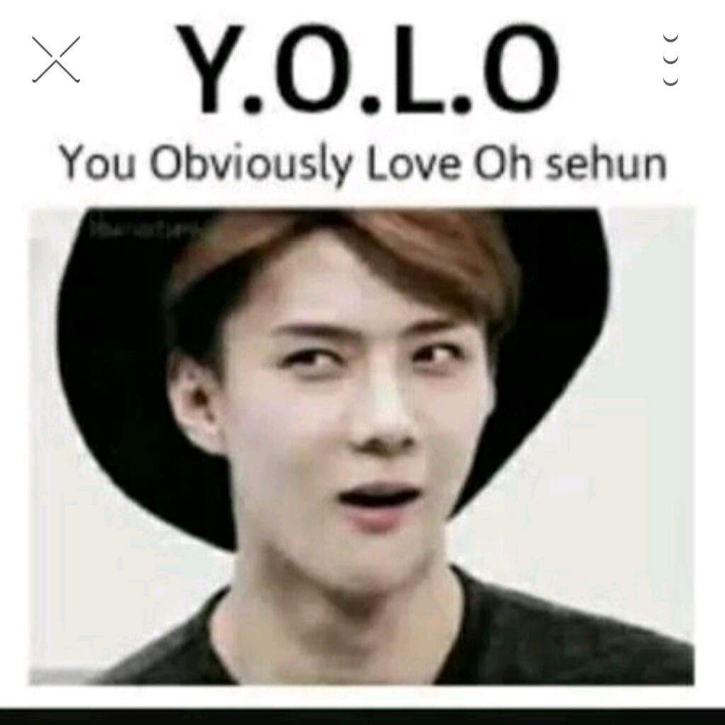 Memes EXO Amino