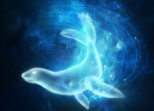 Patronus🌌 | •Harry Potter• Español Amino