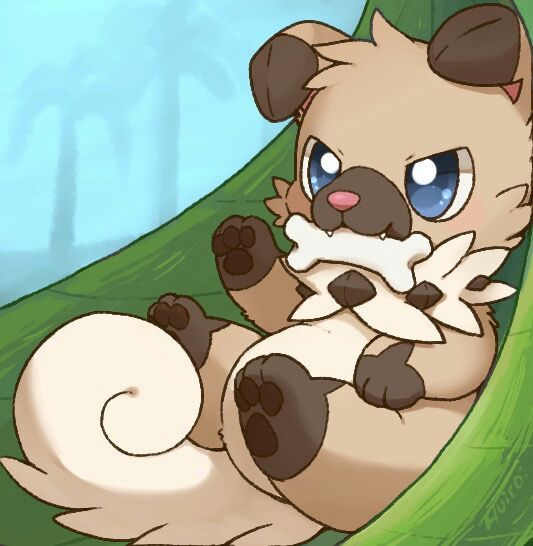 RÃ©sultat de recherche d'images pour "rockruff cute"