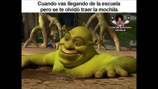 Memes y MoMos de Shrek | •Meme• Amino