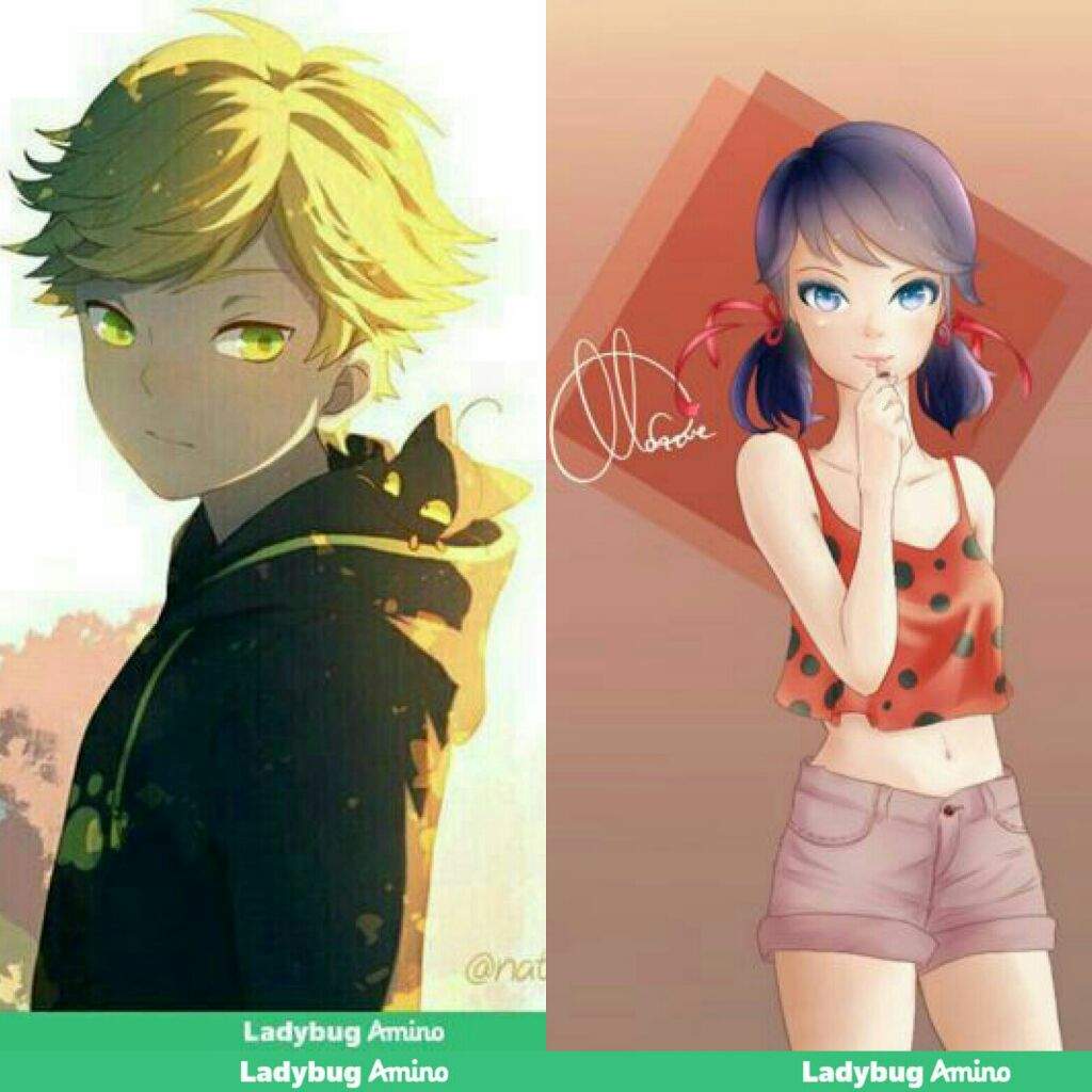 Featured image of post View 16 Cute Anime Ladybug And Cat Noir