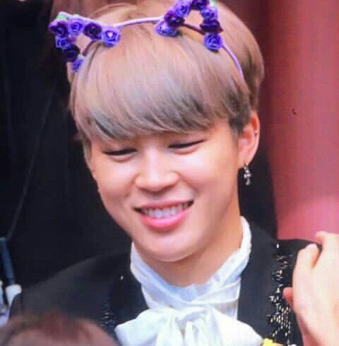 Jimin el gato | ARMY's Amino Amino