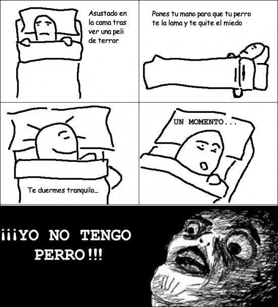 Featured image of post Meme De Perro Durmiendo - Mira esto para borrar toda la amargura de tu día.