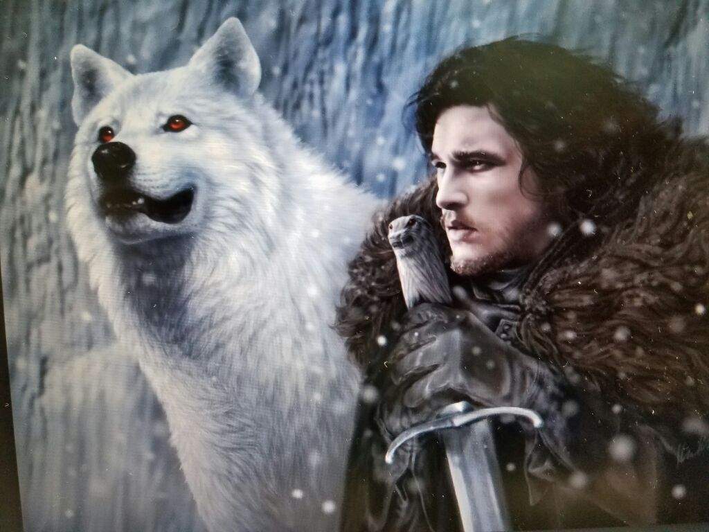 JON SNOW 🐾🏹🛡🗡 spoilers books | Thrones Amino