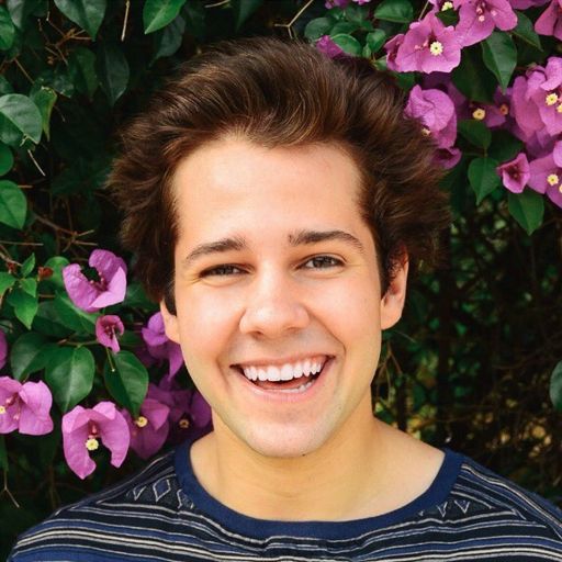 David Dobrik Karina