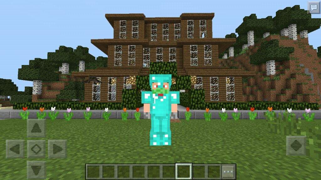 Aqui esta la casa | Minecraft Amino