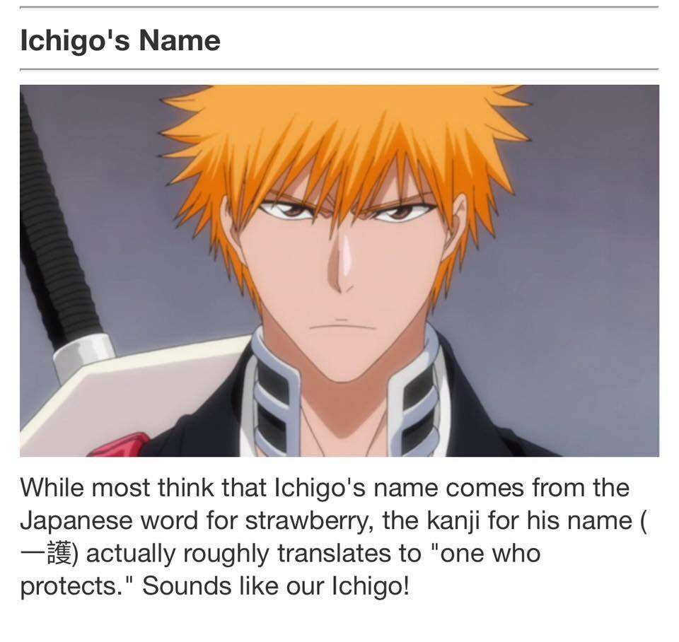 Bleach Real Life Facts Anime Amino
