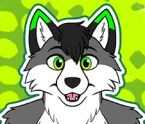 Firefly Wolfy | Wiki | Furry Amino