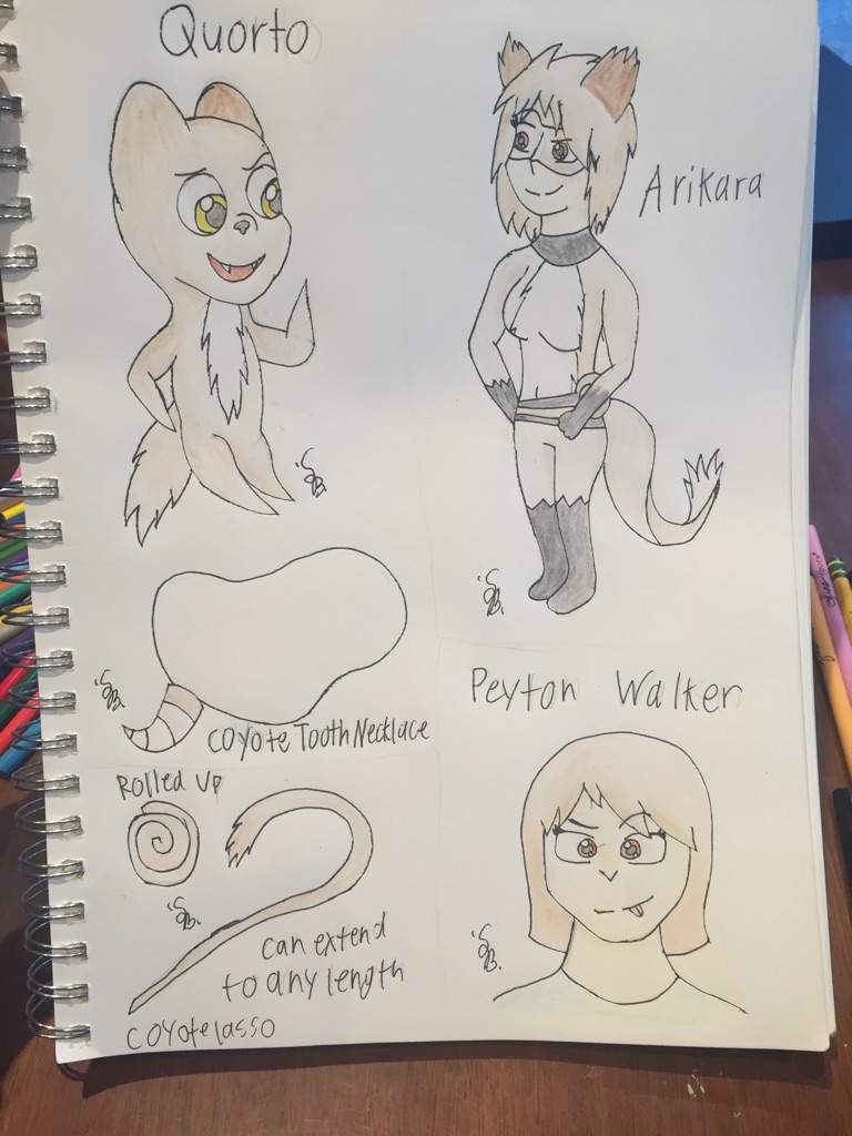 Peyton Walker (OC) | Wiki | Miraculous Amino