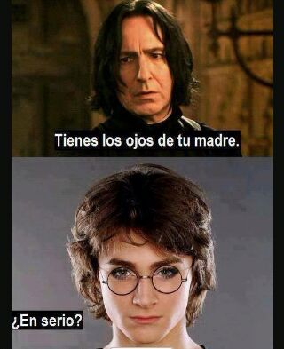 Memes | •Harry Potter• Español Amino