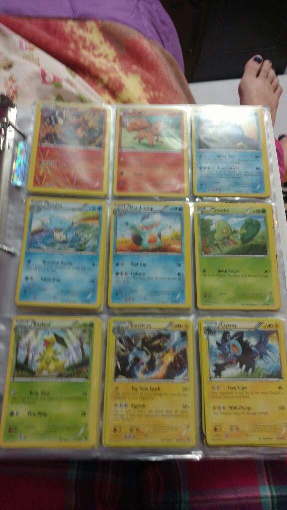 My Pokemon Cards Pokémon Amino