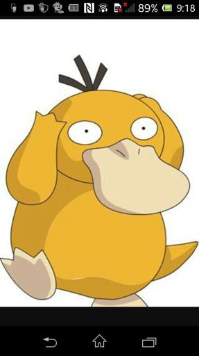 Psyduck | Wiki | •Pokémon• En Español Amino