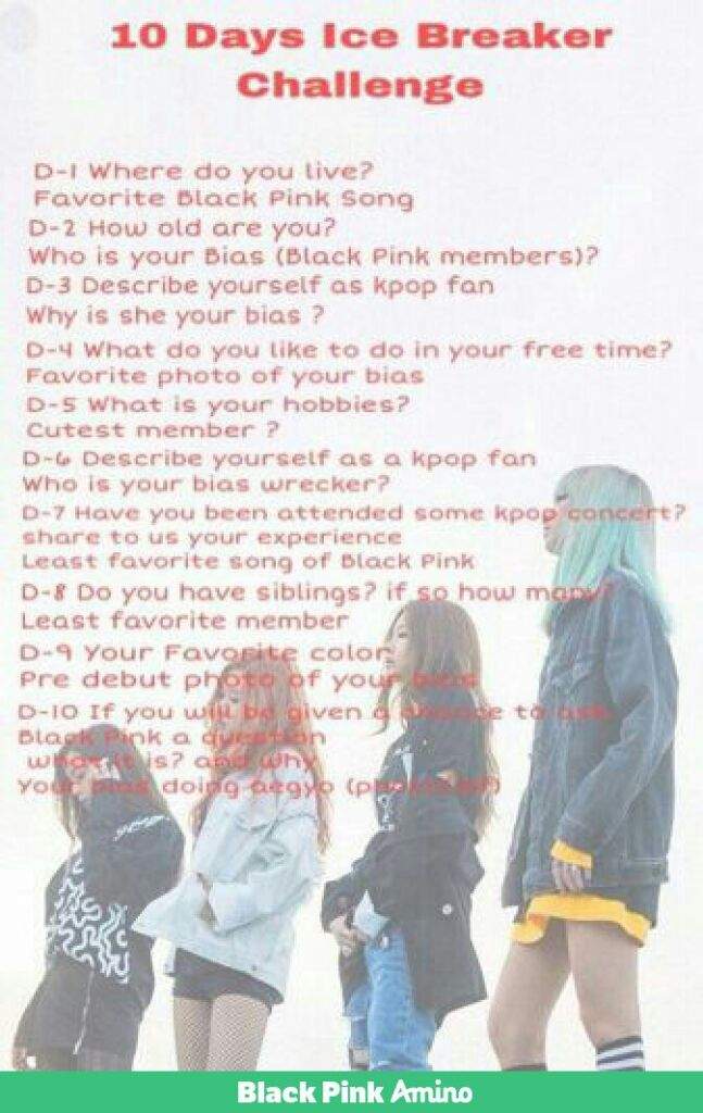Ice Breaker Challenge D 4 Blink 블링크 Amino