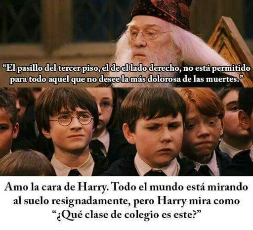 khe P.E.D.D.O. 😂😂😂 | •Harry Potter• Español Amino