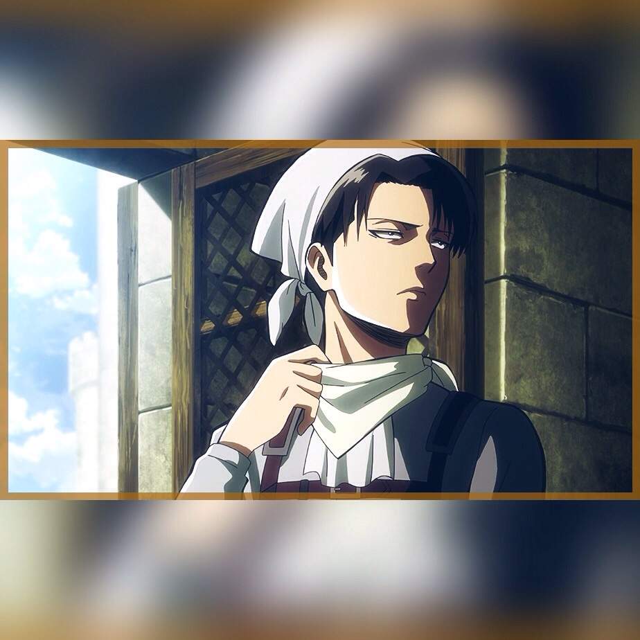 🔰⚔🔰Levi Ackerman🔰⚔🔰 | •Anime• Amino