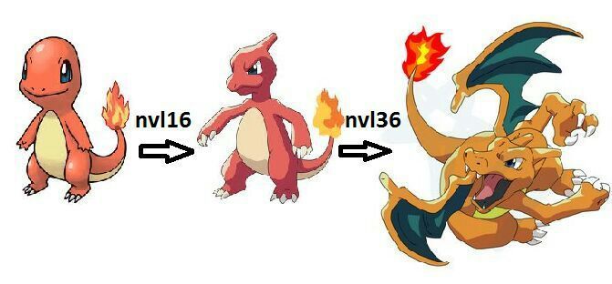 Resultado de imagen para evolucion de charizard