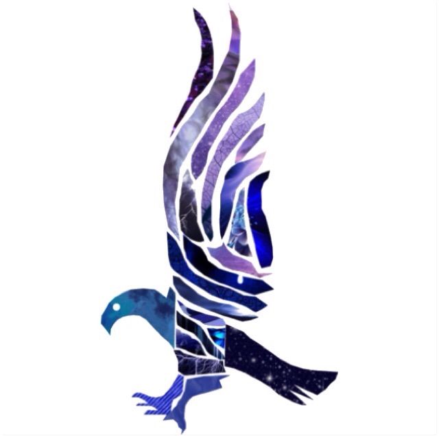 Ravenclaw Wiki Harry Potter Amino - raven shoulder familiar wiki roblox amino