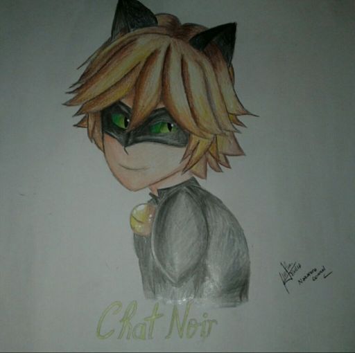 Chat noir/Cat noah💚 | •Miraculous Ladybug Español• Amino