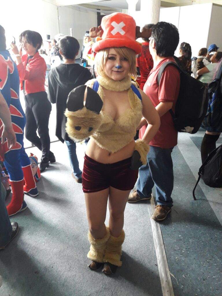 one piece chopper forms cosplay