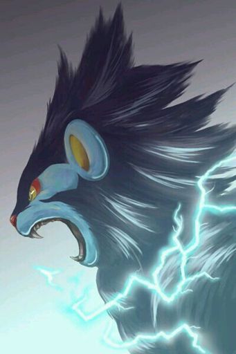 Lightning Lion | Wiki | Pokémon Amino