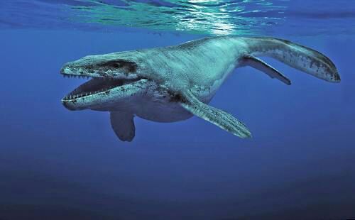 show me a mosasaurus